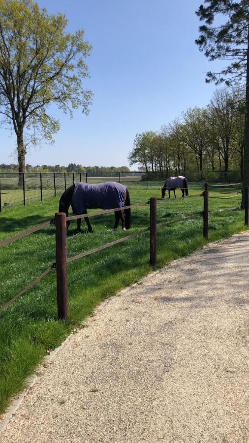 Horse And Hound Bed and Breakfast Riethoven Exterior foto